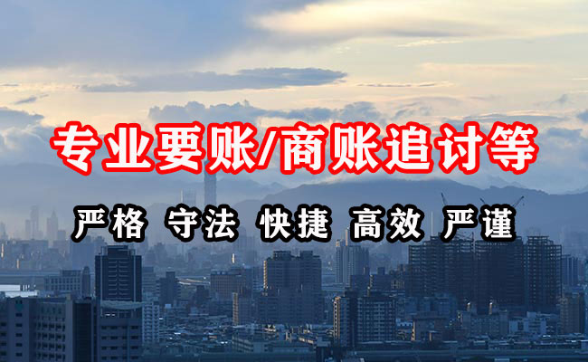 和政要债公司